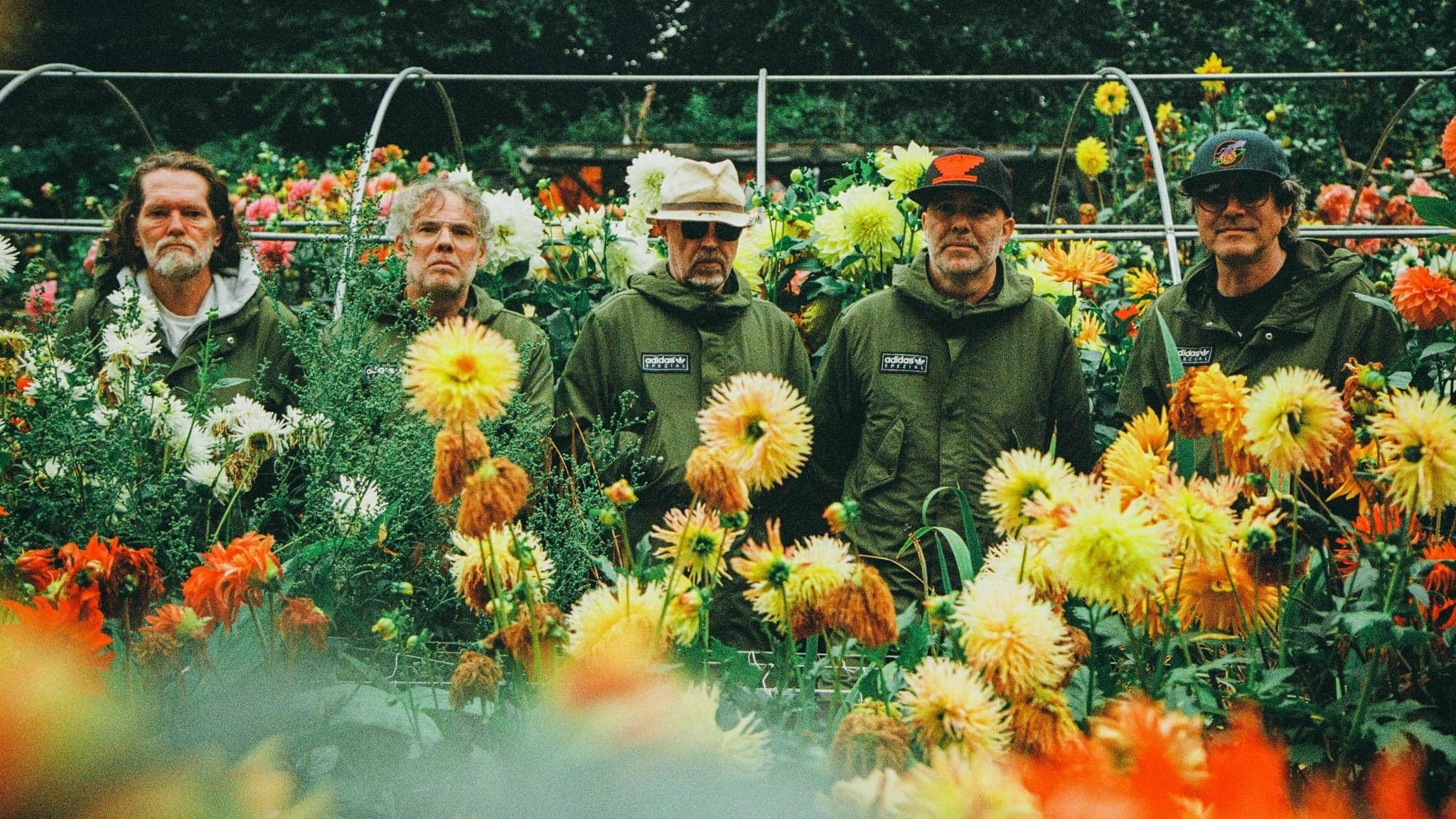 Super Furry Animals Plus Very Special Guests The Beta Band